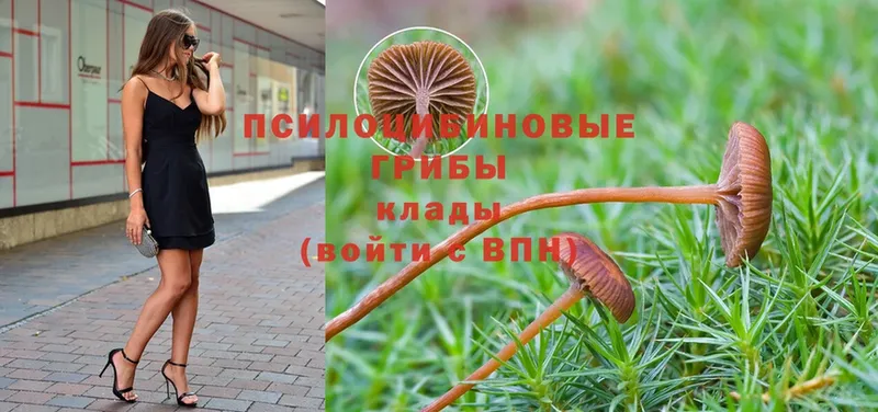 Псилоцибиновые грибы Magic Shrooms  Давлеканово 